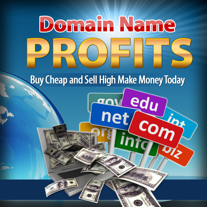 Domain name profits
