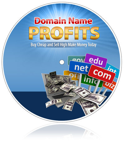 Domain name profits